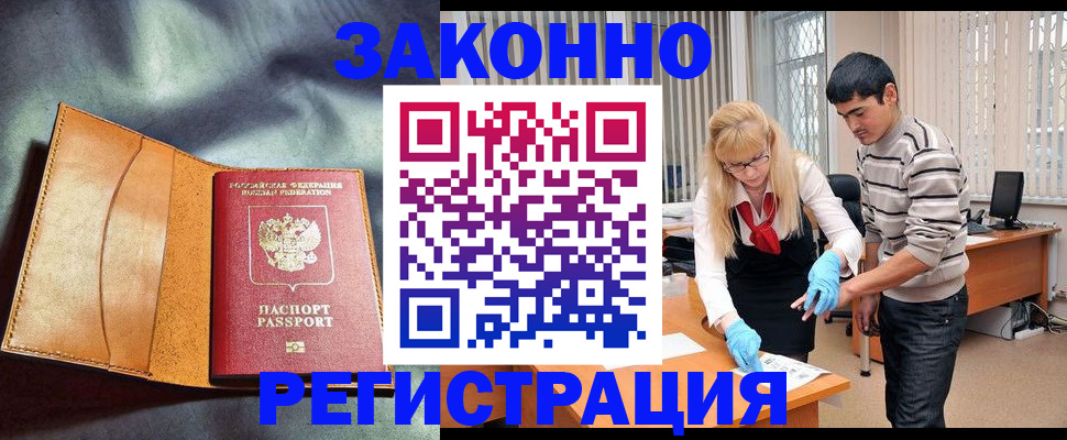 прописка поиск в Александровске